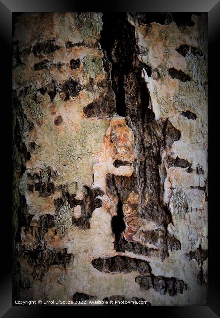 Abstract Lichen and Tree Bark Design Framed Print by Errol D'Souza