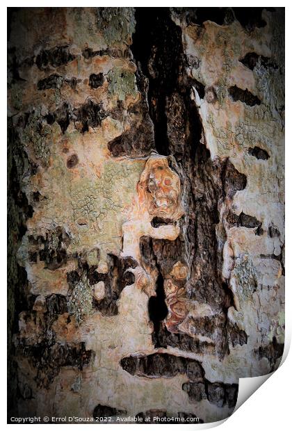 Abstract Lichen and Tree Bark Design Print by Errol D'Souza