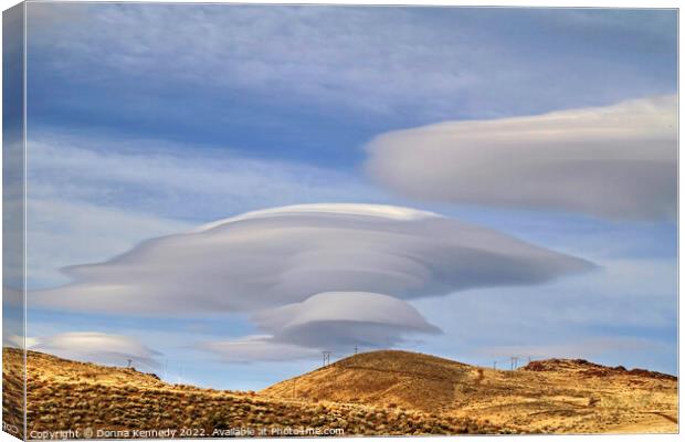 Lenticular Landing Canvas Print by Donna Kennedy