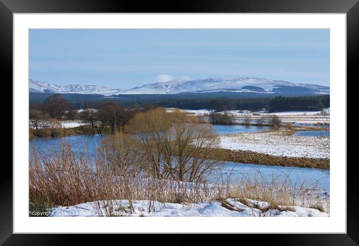 Winter in Speyside Framed Mounted Print by Thelma Blewitt