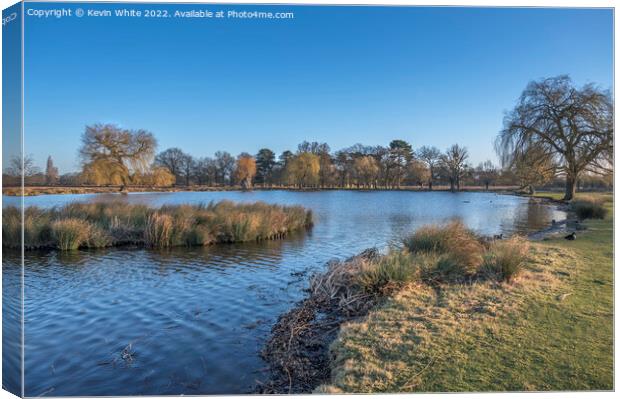 Clear blue sky over Heron pond in February Canvas Print by Kevin White