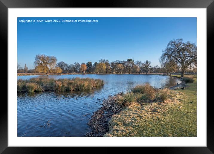 Clear blue sky over Heron pond in February Framed Mounted Print by Kevin White