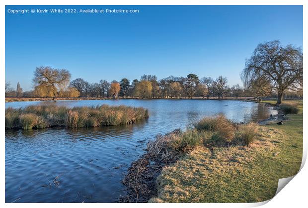 Clear blue sky over Heron pond in February Print by Kevin White