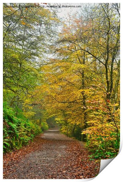 Autumn Dales Print by Cheryl King