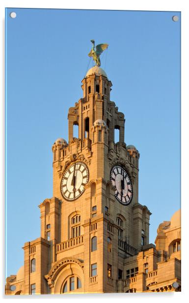 Royal Liver Building Acrylic by Darren Galpin