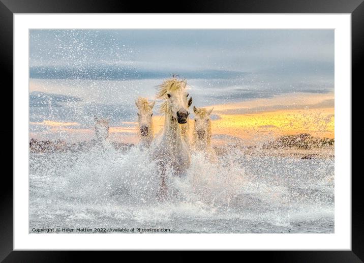 Camargue Wild White Horses in the Sea Pastel  Framed Mounted Print by Helkoryo Photography