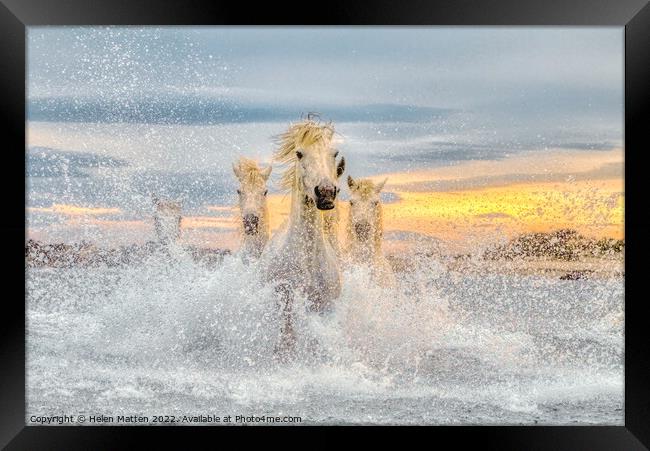 Camargue Wild White Horses in the Sea Pastel  Framed Print by Helkoryo Photography