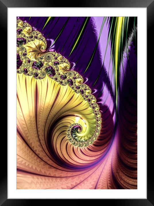 Follow the Swirl Framed Mounted Print by Vickie Fiveash