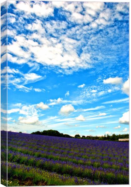 A Dreamy Summer in English Countryside Canvas Print by Andy Evans Photos