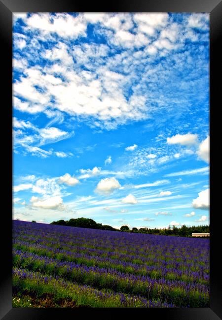 A Dreamy Summer in English Countryside Framed Print by Andy Evans Photos