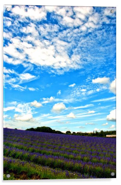 A Dreamy Summer in English Countryside Acrylic by Andy Evans Photos