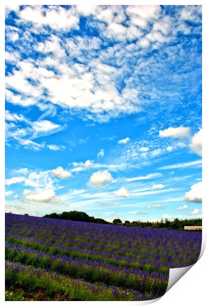A Dreamy Summer in English Countryside Print by Andy Evans Photos