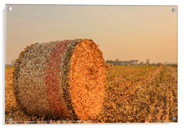 PIXEL ART on a hay cylindrical bale  Acrylic by susanna mattioda