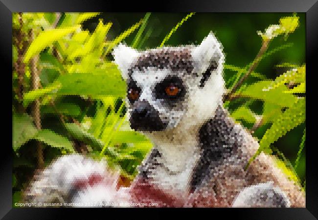 PIXEL ART on close-up of lemur of Madagascar Framed Print by susanna mattioda