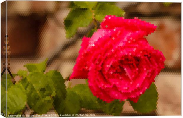 PIXEL ART on a wet rose after the rain Canvas Print by susanna mattioda
