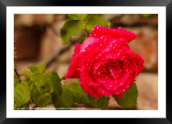 PIXEL ART on a wet rose after the rain Framed Mounted Print by susanna mattioda
