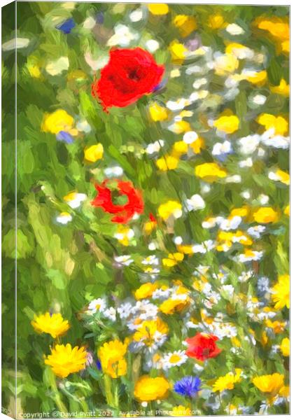 Summer Meadow Memories  Canvas Print by David Pyatt