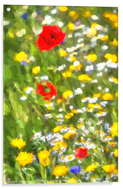 Summer Meadow Memories  Acrylic by David Pyatt
