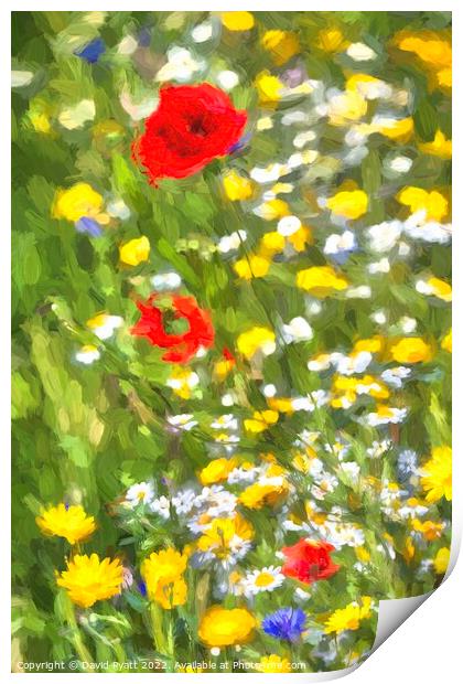 Summer Meadow Memories  Print by David Pyatt