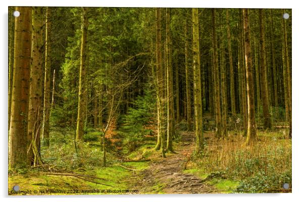 Ynys Maelog or Smaelog Forest Llantrisant  Acrylic by Nick Jenkins