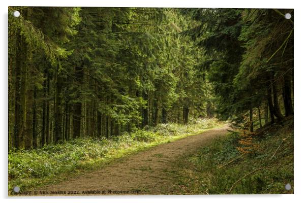 Ynys Maelog Forest Llantrisant South Wales Acrylic by Nick Jenkins