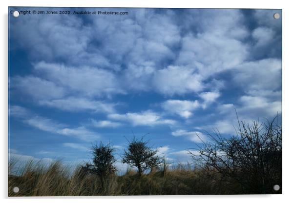 White Fluffy Clouds in a Cluster Acrylic by Jim Jones