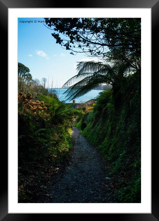The Path to Glendurgan Bay Framed Mounted Print by Mark Rosher