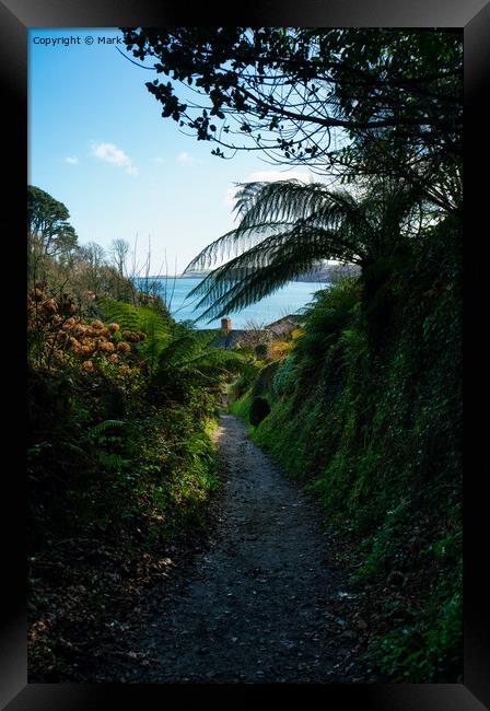 The Path to Glendurgan Bay Framed Print by Mark Rosher