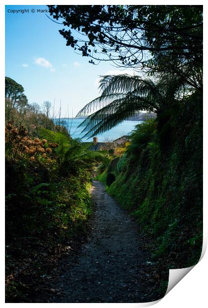 The Path to Glendurgan Bay Print by Mark Rosher