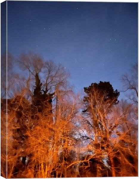 Orion through the trees Canvas Print by Harvey Watson