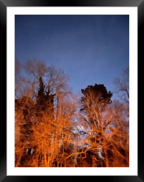 Orion through the trees Framed Mounted Print by Harvey Watson
