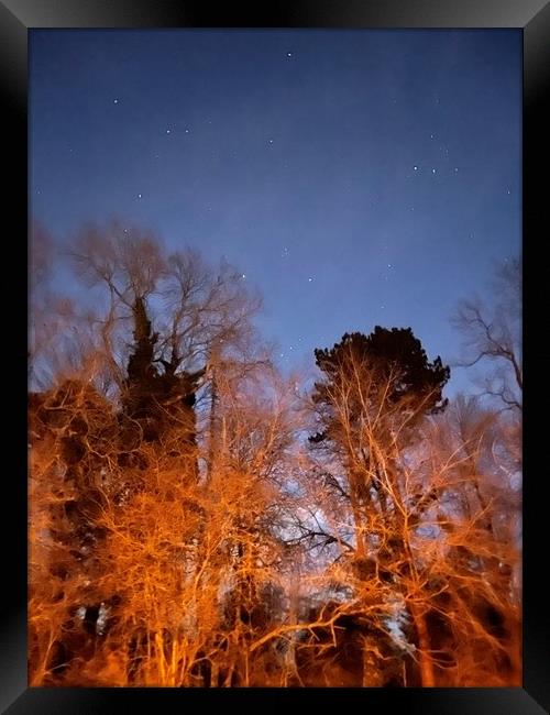 Orion through the trees Framed Print by Harvey Watson