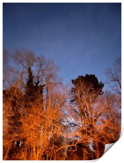 Orion through the trees Print by Harvey Watson