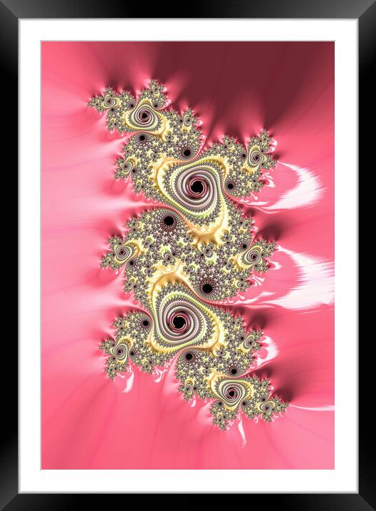 Candy Spirals Framed Mounted Print by Vickie Fiveash