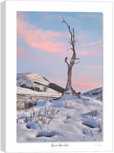 At one with nature Canvas Print by JC studios LRPS ARPS