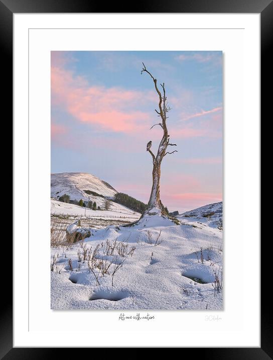 At one with nature Framed Mounted Print by JC studios LRPS ARPS