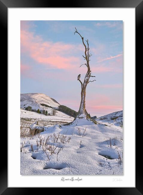 At one with nature Framed Print by JC studios LRPS ARPS
