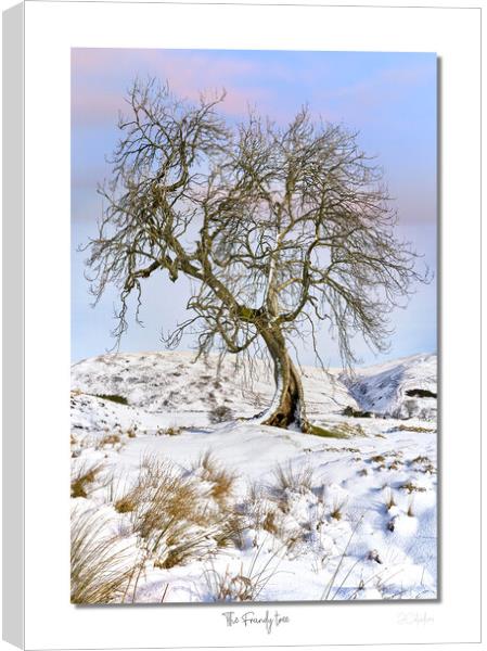 The Frandy tree Canvas Print by JC studios LRPS ARPS