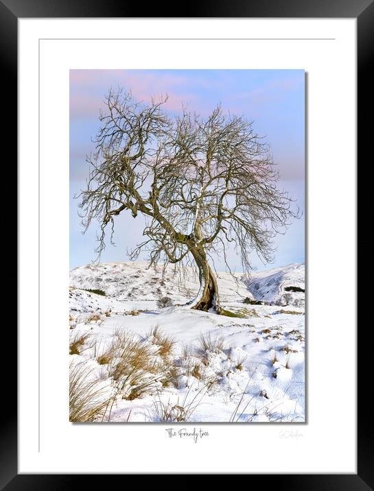The Frandy tree Framed Mounted Print by JC studios LRPS ARPS