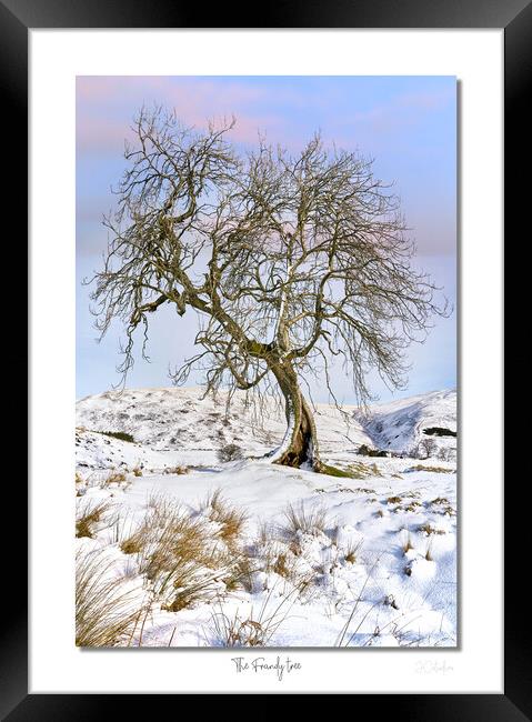 The Frandy tree Framed Print by JC studios LRPS ARPS