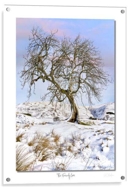 The Frandy tree Acrylic by JC studios LRPS ARPS