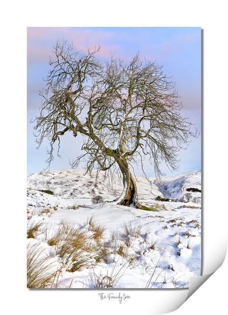 The Frandy tree Print by JC studios LRPS ARPS