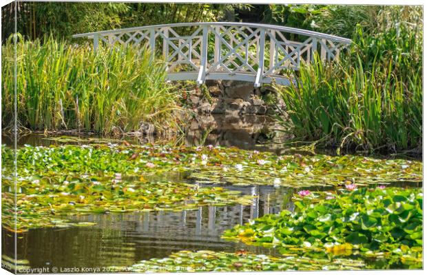 Footbridge over the Lily Pond - Hobart Canvas Print by Laszlo Konya