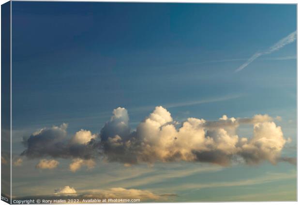 Cumulus clouds Canvas Print by Rory Hailes