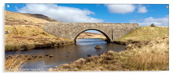 Highland bridge Acrylic by David Hare