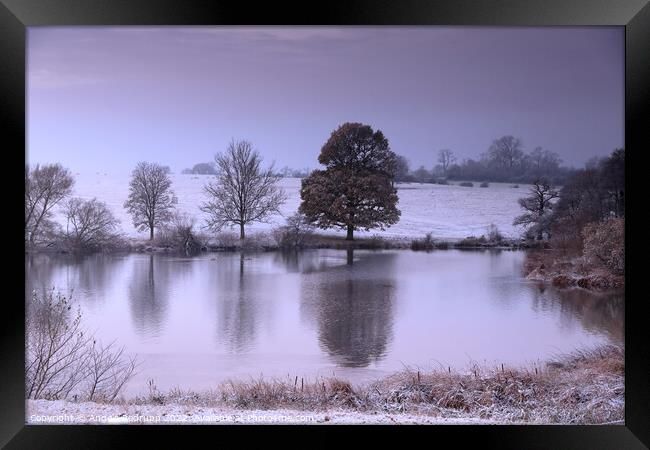 Snow at the lake Framed Print by Angela Redrupp