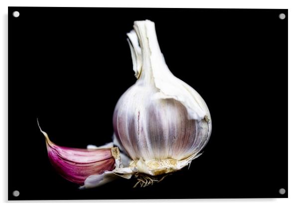 Just Garlic Acrylic by Lynne Morris (Lswpp)