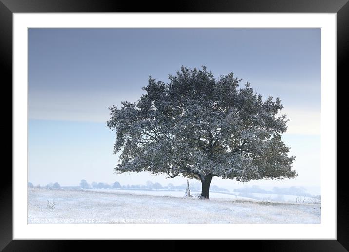 Lone tree n the snow Framed Mounted Print by Angela Redrupp