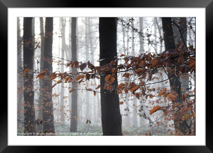 Foggy in the woods Framed Mounted Print by Angela Redrupp