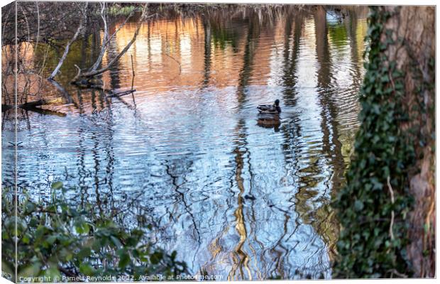 Ripples on a Lake with Duck Canvas Print by Pamela Reynolds